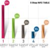 32.PowerPoint 5 Step INFO TABLE CHART